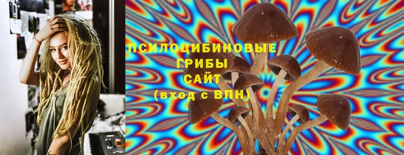 Галлюциногенные грибы Cubensis  Истра 